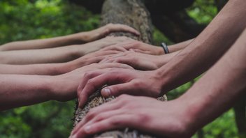{{ article.title }}
