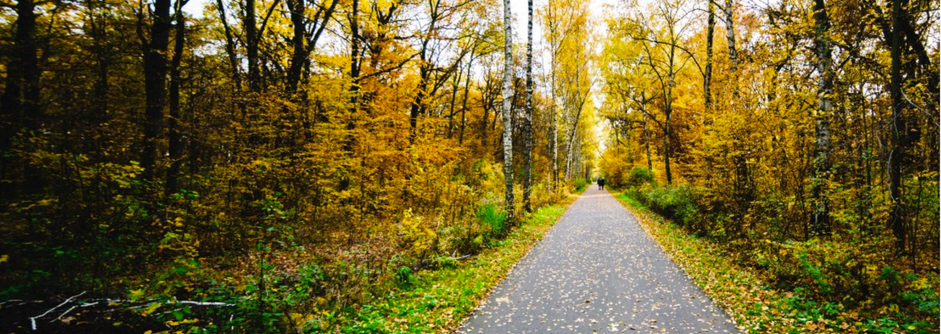 autumn_park